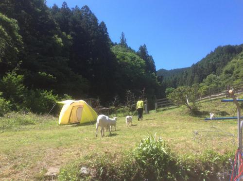 51832446_1872828512826340_5833052233532440576_n